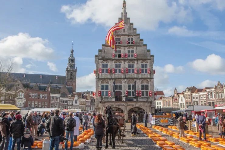 gouda